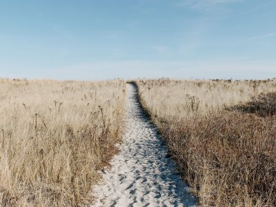 prairie, path, field